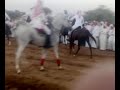 الخيل ترقص على انغام المرافع والطيران
