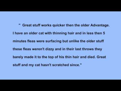 how to treat 8 week puppy for fleas
