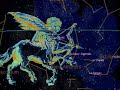 serpentarius