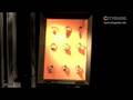CITYGUIDE - Skin Deep Art GmbH St. Gallen Schweiz