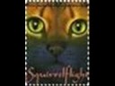 Squirrelflight And Leafpool Are Amazing