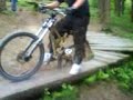 dalby forset 2