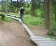 dalby forset 2