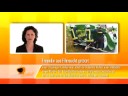 eric  pfennig  studio  bielefeld  screen  content  it  worxx  arminia  nachrichten  aktuelles  news  nrw  sparenburg  biovision  em public viewing, sch�co arena alm mord