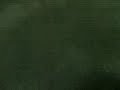 kima video try 1