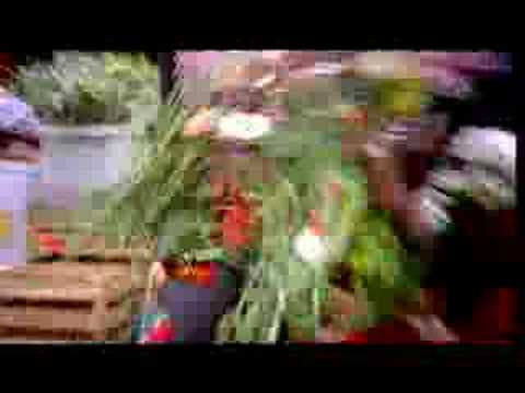lee scratch perry on world peace