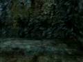 videos de Tomb Raider UnderWorld Statues Head Glitch