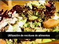Instalaciones Agr�colas de Biogas