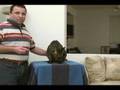 Trimming your Cat's Nails
