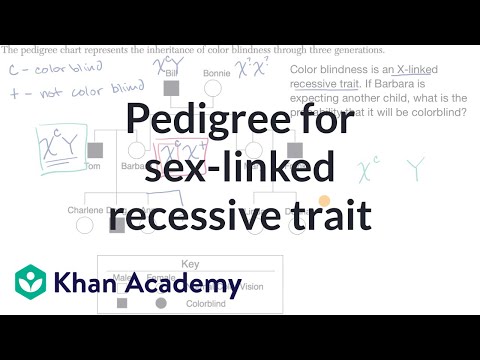 Pedigree Chart X Linked Recessive