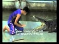 10 Animal Attacks Caught on Tape nsp