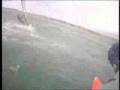 Windsurfer