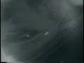island-leopard-deemed-new-species.html