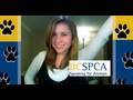 Nadine's BC SPCA Fundraiser and Birthday Event!