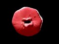 Angry-Red-Anus