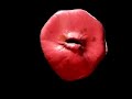 Angry-Red-Anus