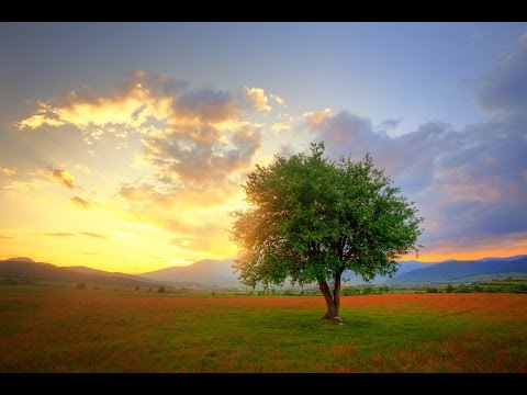 8 Hour Deep Sleep Music: Meditation Music, Sleeping Music, Soothing Music, Sleep Hypnosis ☯670