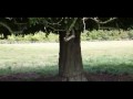 Duck You Sucker/A Fistful of Dynamite/Giù la Testa Irish Locations