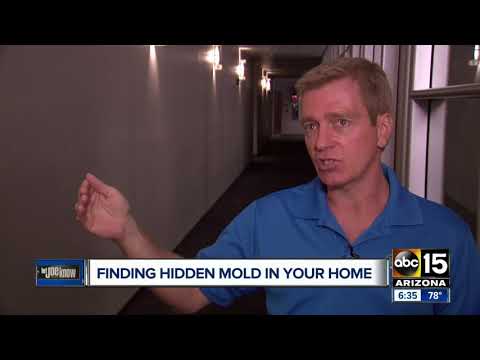 video-linktoworks-How to search for hidden mold in your home