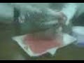 Video001