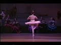 johan kobborg   tamara rojo in don quixote