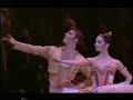 johan kobborg   tamara rojo in don quixote