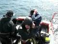 Scuba Diving in the Patagonia