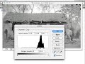Saving faded photos