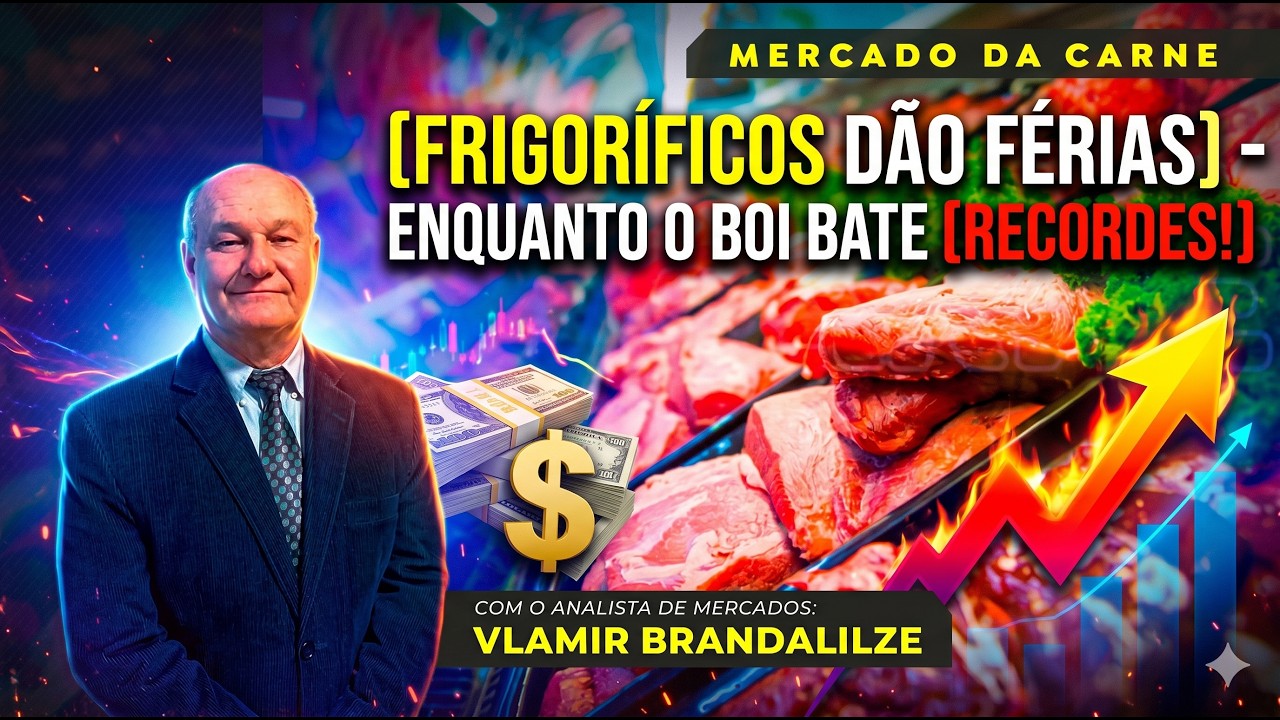 Escassez de Escala? Por que frigoríficos dão férias enquanto o boi bate recordes.