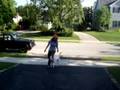 Niño off leash obedience