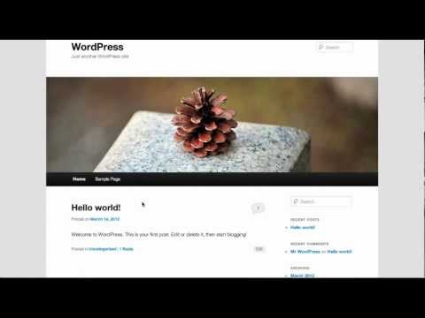 Create and Edit Posts