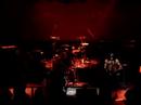 Not Liable Live 2