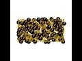 Polymer colloid phase separation
