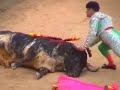 Todos contra la tauromaquia