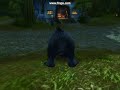 worldofwarcraft i like big butts