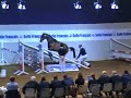 Stallion by L\