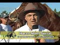 Tv Mangalarga - Programa 3 - Bloco 1