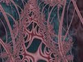 Coriolis