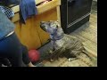 traffic-cop-makes-illegal-uturn.html