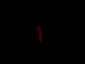 Lizzard - Hello I Love You [The Doors Cover]