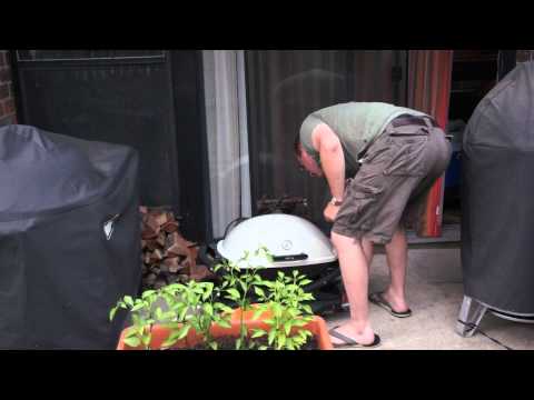 how to set up a weber q