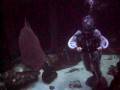 videos de costume_dive_1.avi