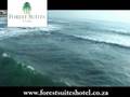 Forest Suites Zimbali - Local Attractions