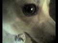 03-29-07_1137.3g2