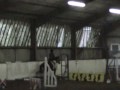 My first ever Showjumping course on Banjo - R.I.P xxx