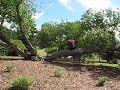 VIXS VIDEO #24.EVEN MORE FOXY CUTENESS!