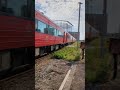 久大本線 高良踏切から南久留米駅を通過「キハ185系 84D 特急ゆふ4号🟥 博多行き」#特急ゆふ #キハ185系 #久大本線 #南久留米駅