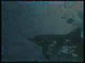  - MovieZen Video