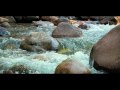 Yosemite Stock Footage