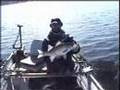 Jigging Up A Striper